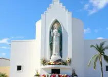 saúde de maceió