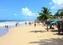 Desenrola Maceió