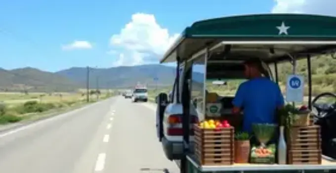 nova linha alimentadora