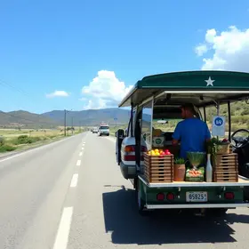 nova linha alimentadora