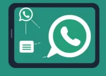 uso do WhatsApp pelo Sistema Pronto