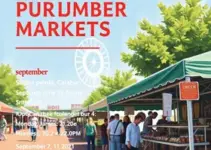 horários de feiras e mercados públicos