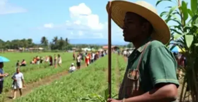 Feira da Reforma Agrária