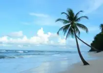 Prefis Maceió 2026