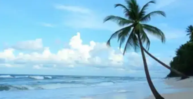 Prefis Maceió 2026
