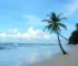 Prefis Maceió 2026