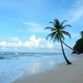 Prefis Maceió 2026