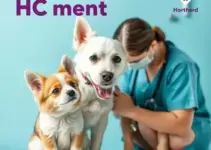 saúde animal em Maceió