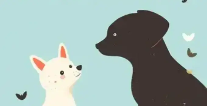 bem-estar animal