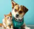 atendimentos para cães e gatos
